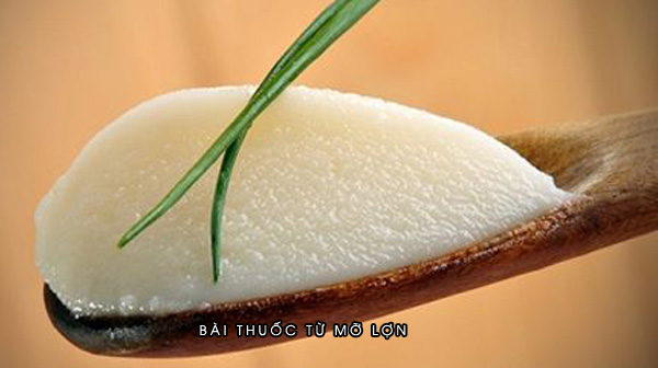 Bài thuốc chữa bệnh từ mỡ lợn không phải ai cũng biết